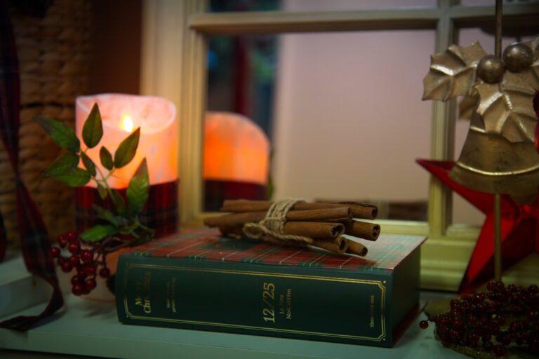 Create a Cozy Atmosphere with Ritzynest’s Latest Products