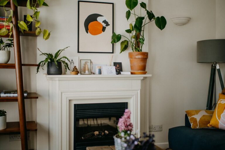 Sustainable Home Decor Options Available at Ritzynest for Eco-Friendly Living